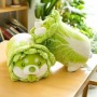Fabricant et fournisseur en gros de peluches Cabbage Dog, spécialisé dans les jouets en peluche personnalisés