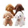 how to get Teddy Dog Plush Toy