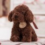 Peluche Chien Teddy en Coton Doux, Cadeau Personnalisé pour Filles