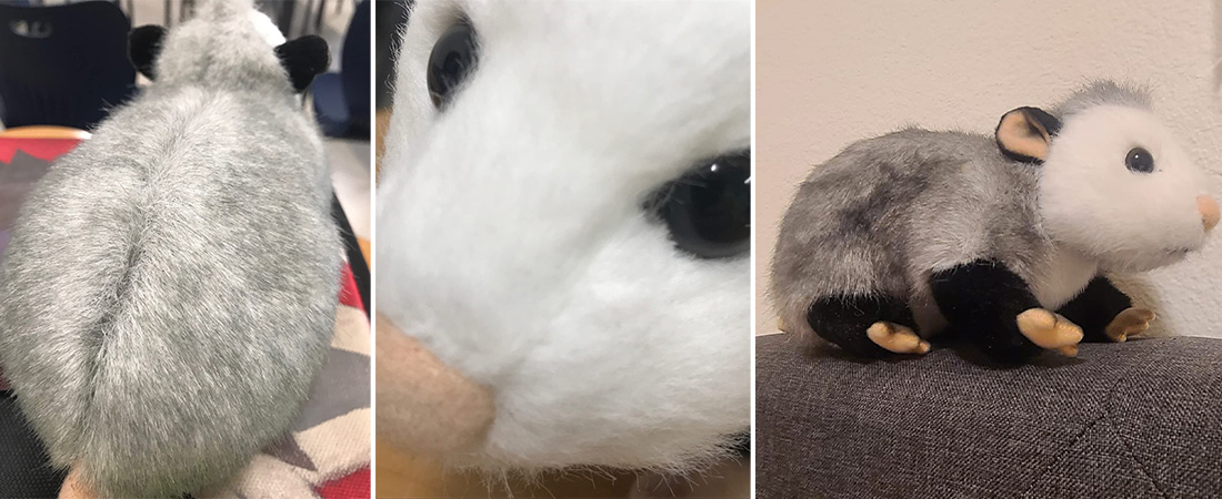 Harry-Plush-Opossum-Stuffed-Animal-review