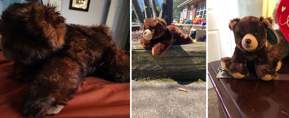 Huggy-Ben-Plush-Stuffed-Animal-Brown-Grizzly-Bear-review