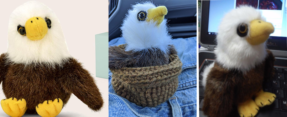 bald-eagle-plush-review