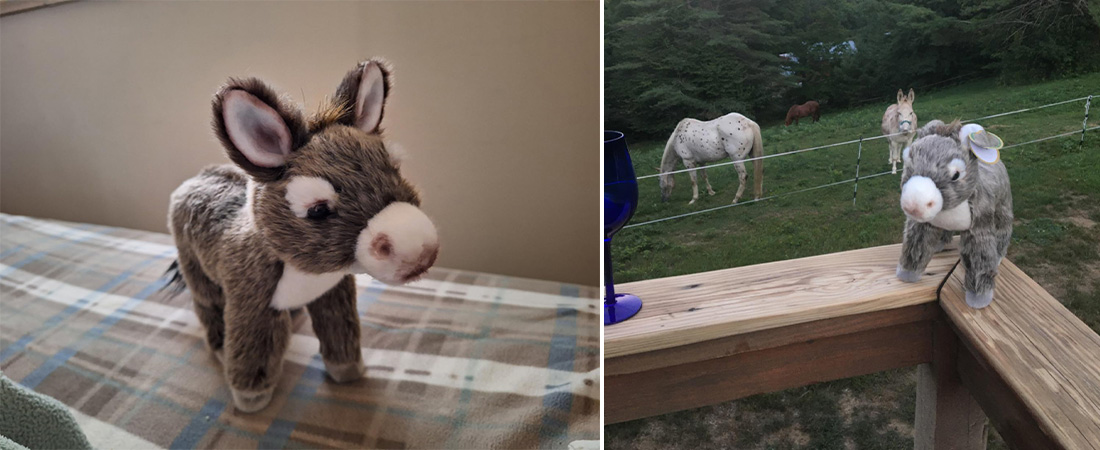 donkey-plush-review