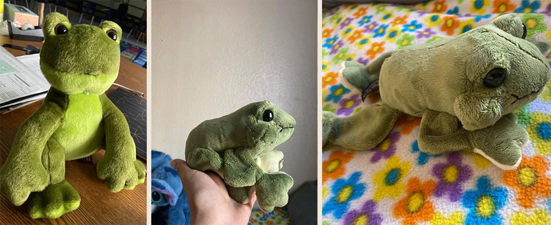 frog-plush-stuffed-animal-review