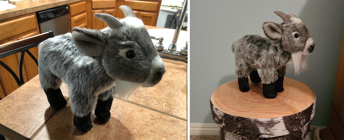 gray-goat-plush-review