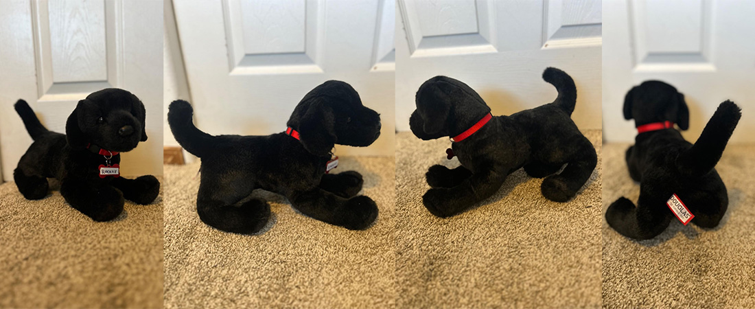 Black-Lab-Dog-Plush-Stuffed-Animal-review