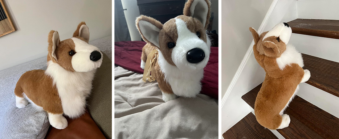 Corgi-Dog-Plush-Stuffed-Animal-review