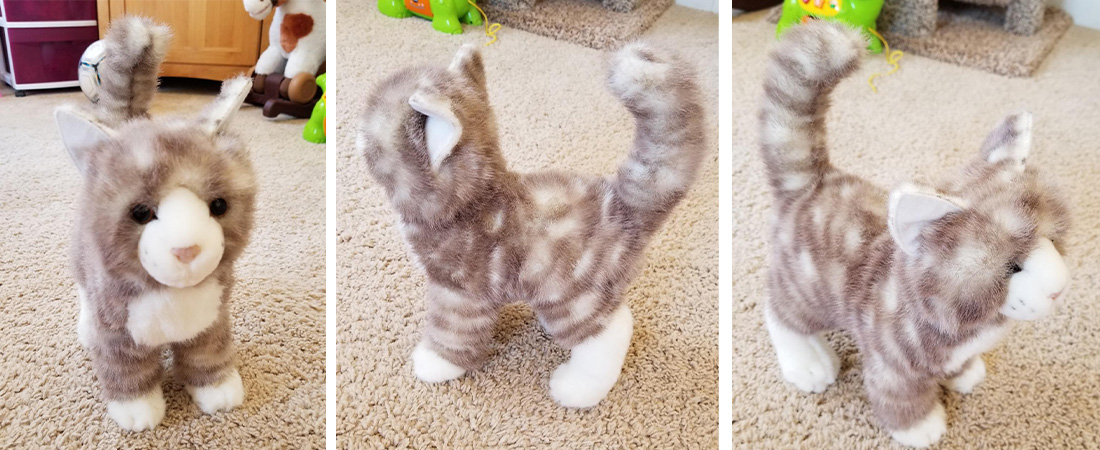 Gray-Tabby-Cat-Plush-Stuffed-Animal-review