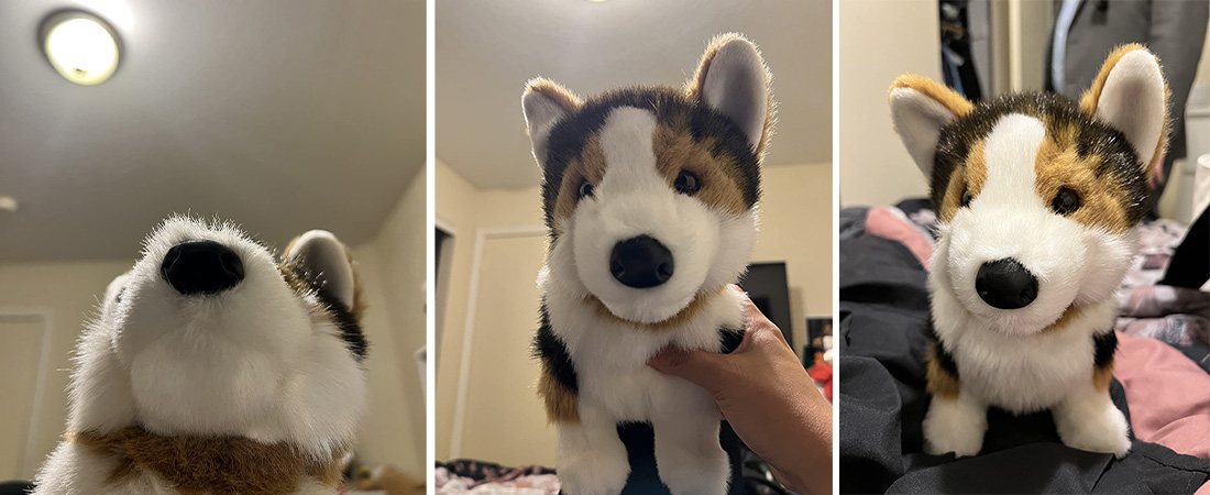 Tri-Colored-Corgi-Dog-Plush-review