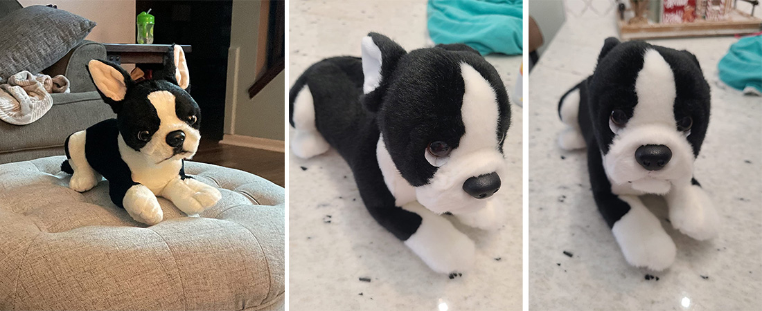 he-Boston-Terrier--Stuffed-Animal-Plush-Dog-review