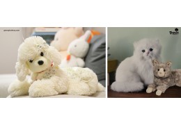 The Comfort and Joy of Custom Stuffed Animals of Your Pet: Why They're So Popular in Australia