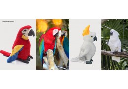 Exploring the Manufacturing Process for Creating Custom Stuffed Animals of Your Pet